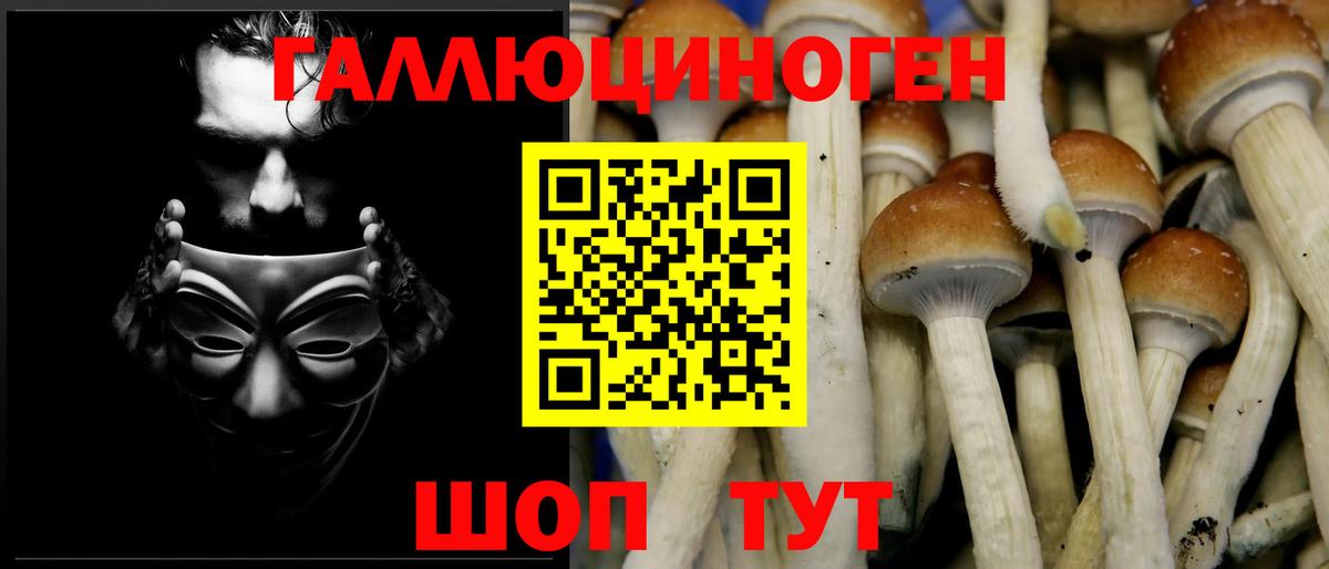Псилоцибиновые грибы Psilocybe  Вход с VPN  Сунжа  Галлюциногенные грибы мухоморы 